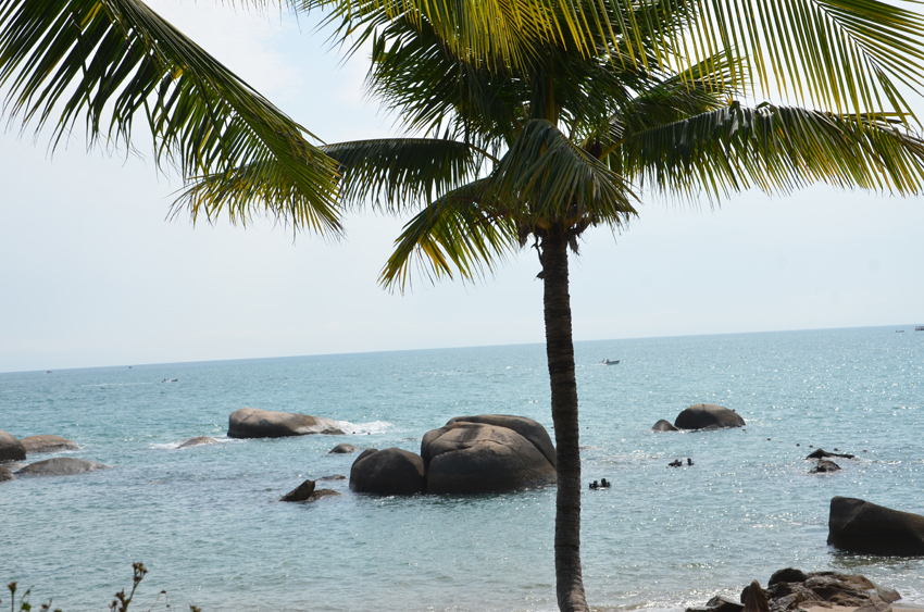 欧美日韩狠狠爱视频a片